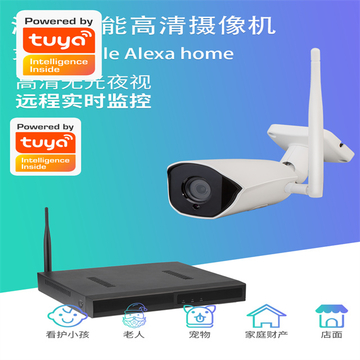 Tuya Full Set Wi-Fi Camera with Home NVR Kits Cctv Security System Life Waterproof Video 1080p Wifii Alarm System Cameras