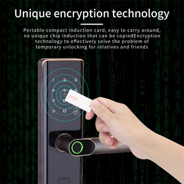 Luxury Euro Lock Cylinder Zinc Alloy Biometric Fingerprint Smart Door Lock Smartphone WiFi Tuya APP Smart Lock