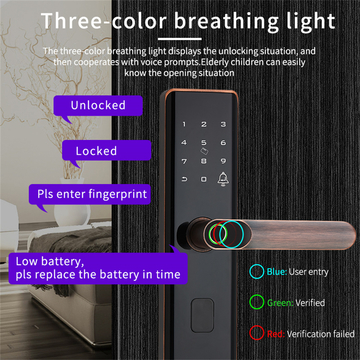 Luxury Euro Lock Cylinder Zinc Alloy Biometric Fingerprint Smart Door Lock Smartphone WiFi Tuya APP Smart Lock