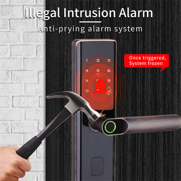 Luxury Euro Lock Cylinder Zinc Alloy Biometric Fingerprint Smart Door Lock Smartphone WiFi Tuya APP Smart Lock