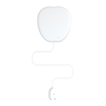 Genuine Tuya Google Home App Remote Control Voice Commands Smart Wifi Wireless Water Leakage Sensor
