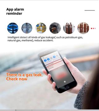 Promotion Homelife Lcd Screen Remote Control Voice Wifi Gas Leak Detector And Temperature Alarm Tuya Smart