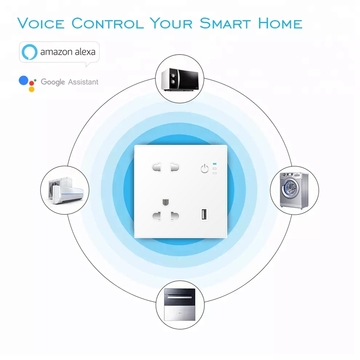 EU Standard 2AC Input Individual Control 1 USB Tuya WiFi Smart Power Wall Plug Socket