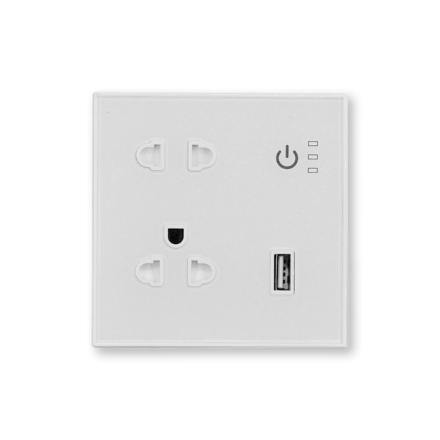 EU Standard 2AC Input Individual Control 1 USB Tuya WiFi Smart Power Wall Plug Socket