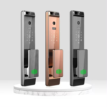 Finger Vein Tuya Automatic Face Recognition Lock With Camera Digital Fingerprint Biometric Digital Smart Door Lock