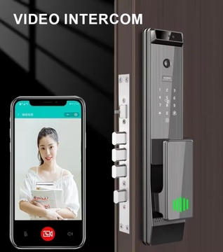Finger Vein Tuya Automatic Face Recognition Lock With Camera Digital Fingerprint Biometric Digital Smart Door Lock