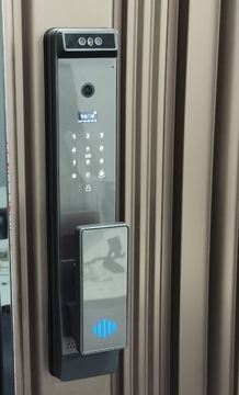 Finger Vein Tuya Automatic Face Recognition Lock With Camera Digital Fingerprint Biometric Digital Smart Door Lock