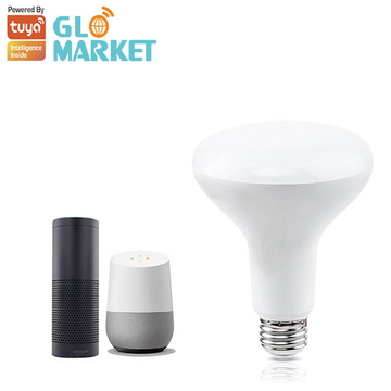 Smart wifi light bulb