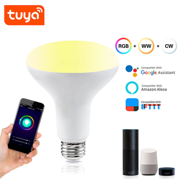 Smart wifi light bulb