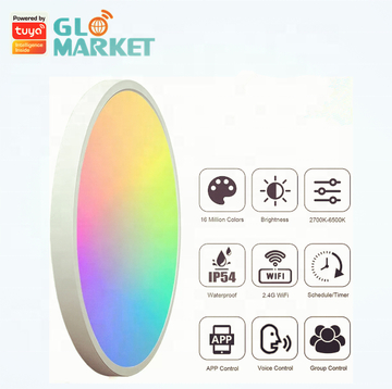 Smart wifi ceilling light