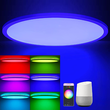 Smart wifi ceilling light